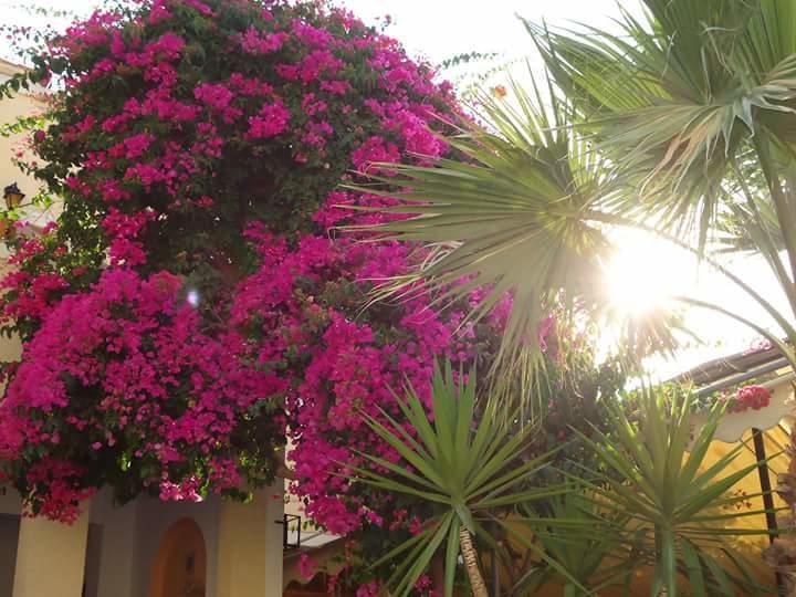Sweetmemory Hotel Agia Marina  Bagian luar foto